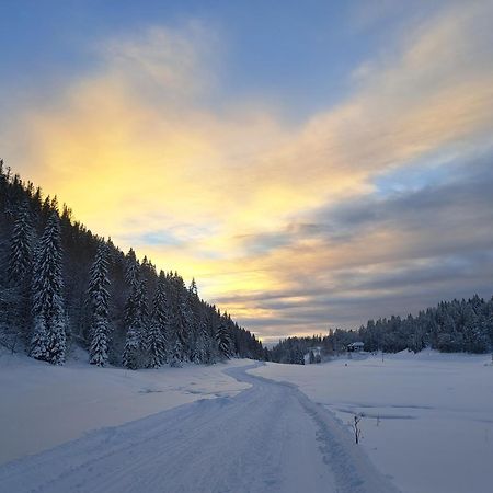 Au Coeur Du Lapidaire Septmoncel-Les-Molunes Kültér fotó