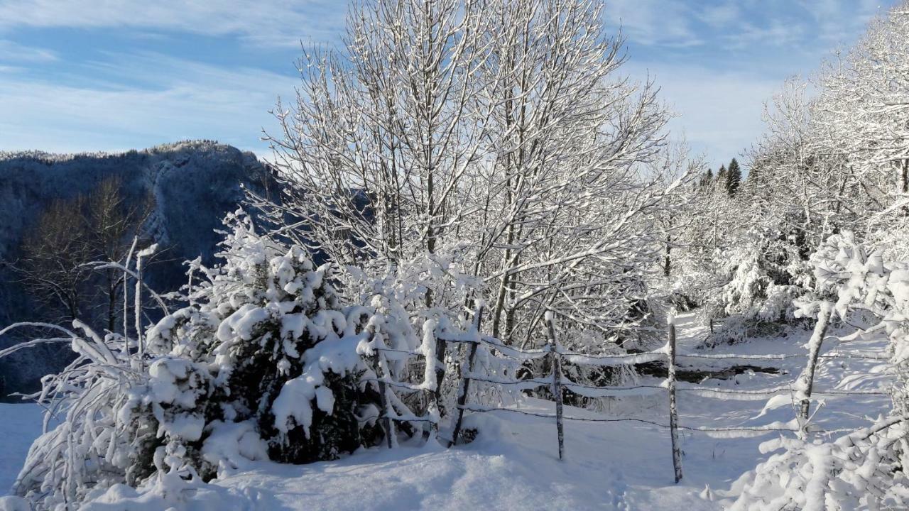 Au Coeur Du Lapidaire Septmoncel-Les-Molunes Kültér fotó