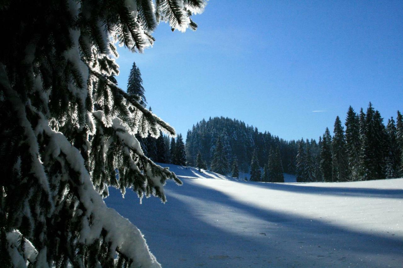 Au Coeur Du Lapidaire Septmoncel-Les-Molunes Kültér fotó