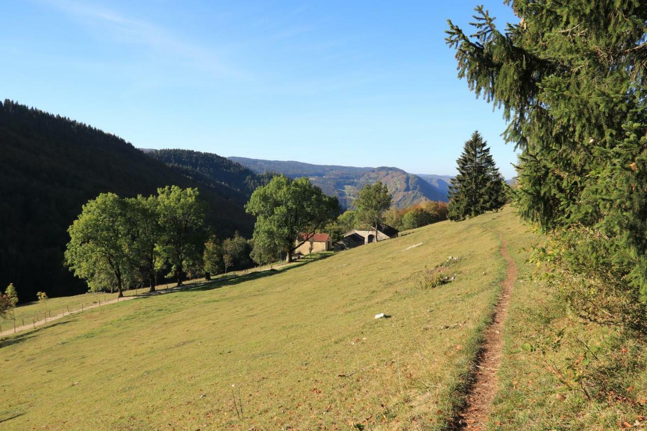 Au Coeur Du Lapidaire Septmoncel-Les-Molunes Kültér fotó