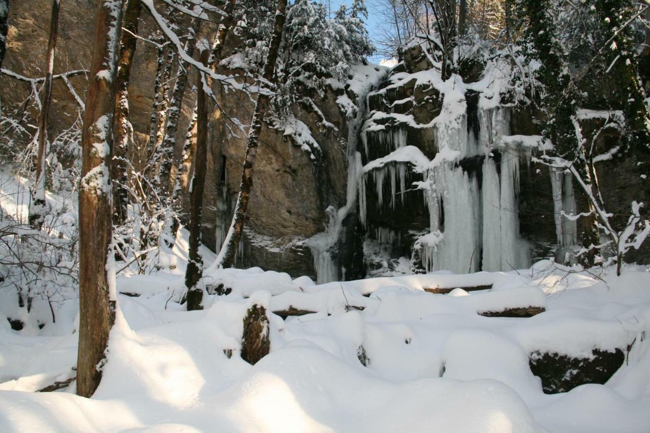 Au Coeur Du Lapidaire Septmoncel-Les-Molunes Kültér fotó