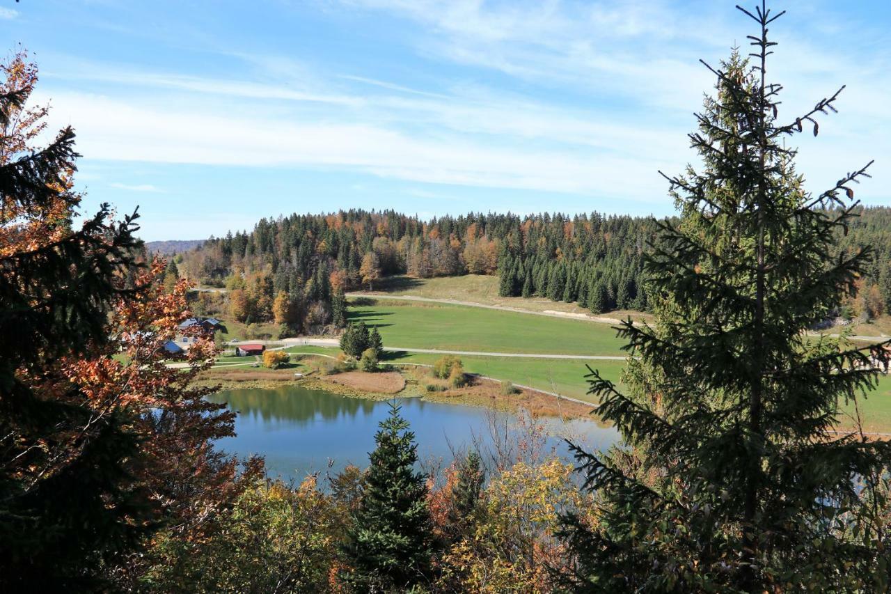 Au Coeur Du Lapidaire Septmoncel-Les-Molunes Kültér fotó