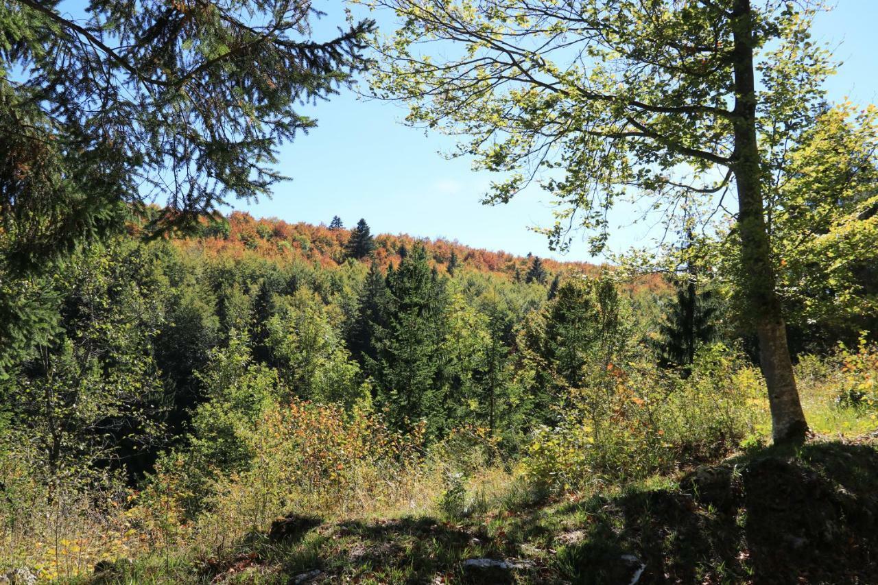 Au Coeur Du Lapidaire Septmoncel-Les-Molunes Kültér fotó